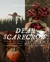 Load image into Gallery viewer, Dear Scarecrow