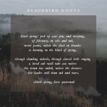 Load image into Gallery viewer, Black Spring