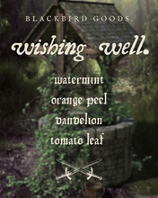 Load image into Gallery viewer, Wishing Well
