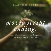 Load image into Gallery viewer, Movie Script Ending
