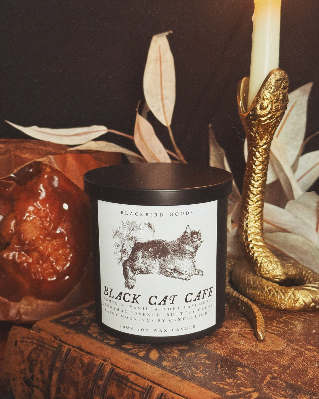 Black Cat Cafe