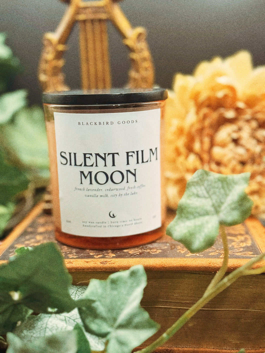 Silent Film Moon