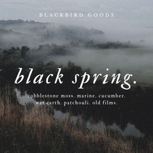 Load image into Gallery viewer, Black Spring
